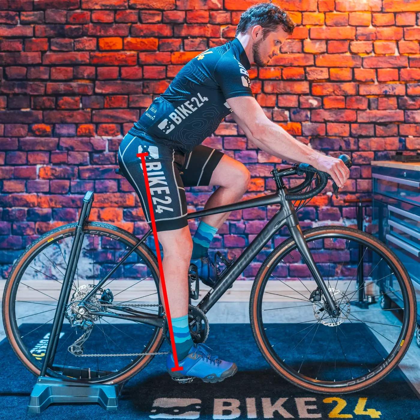 fahrradanhänger für e-bikes TREILER®️ 350- Der Fahrradanhänger für 4 E-Bikes main image 1