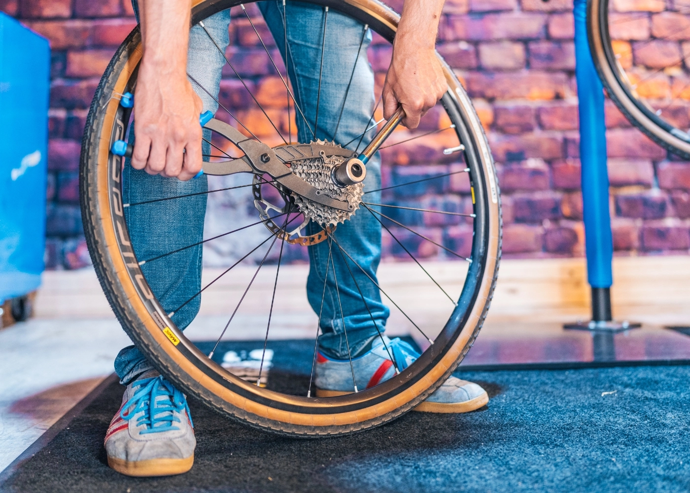 Fahrradkassette wechseln - So einfach geht's | BIKE24