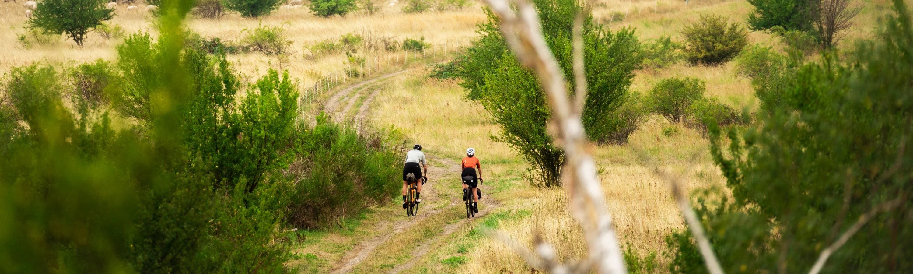 Bikepacking Tents Bottom Image