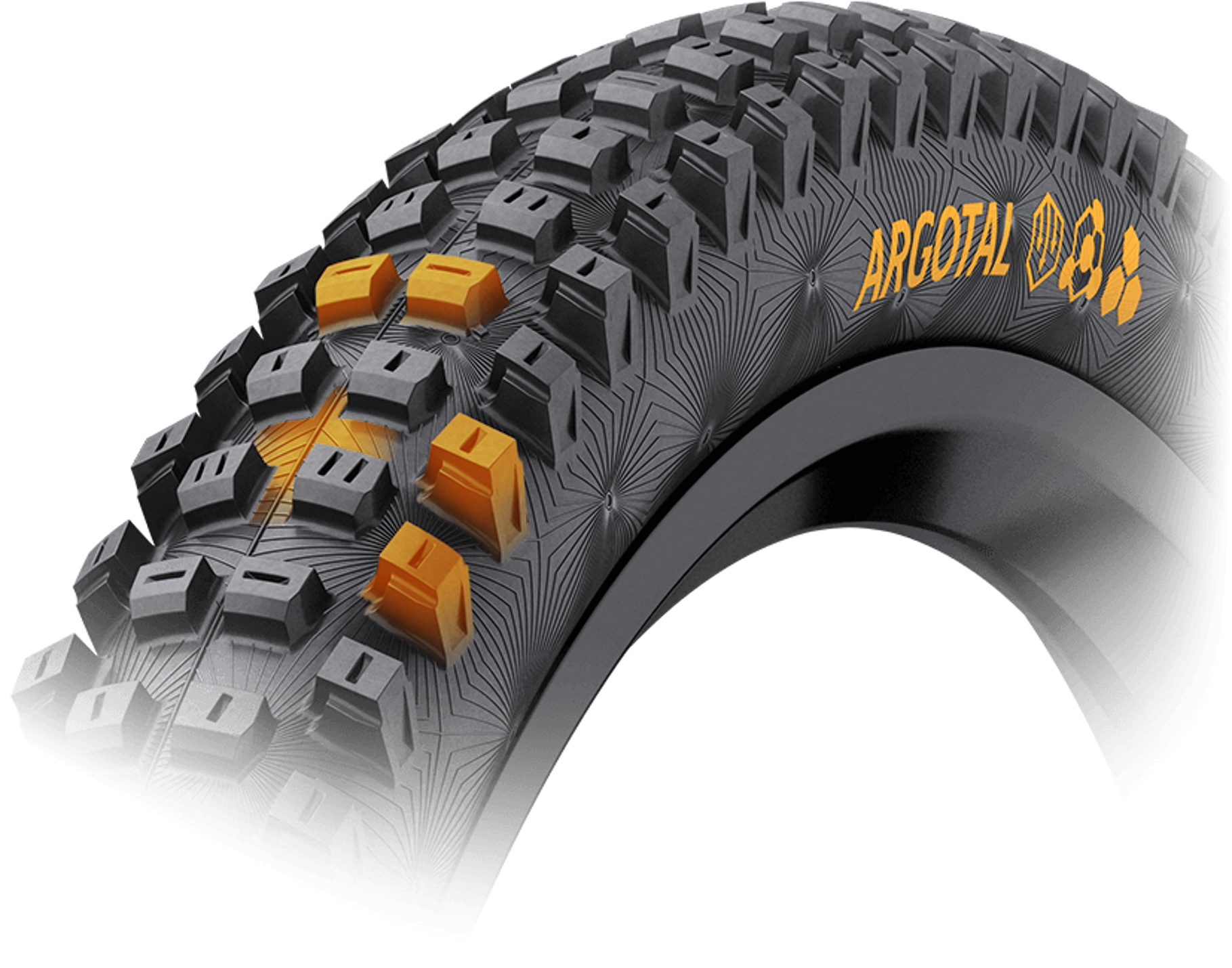 Pattetrn Continental Argotal