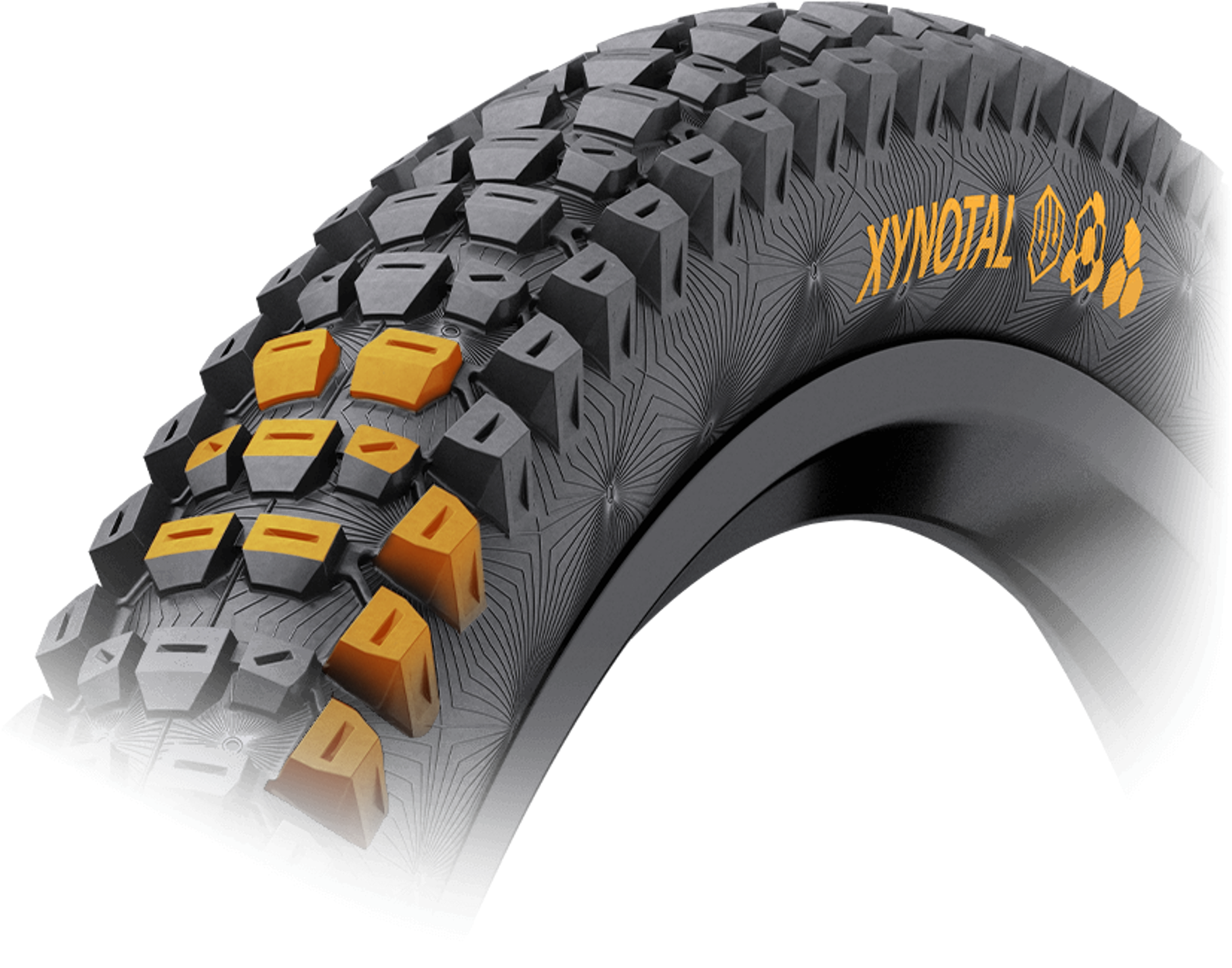 Pattetrn Continental Xynotal