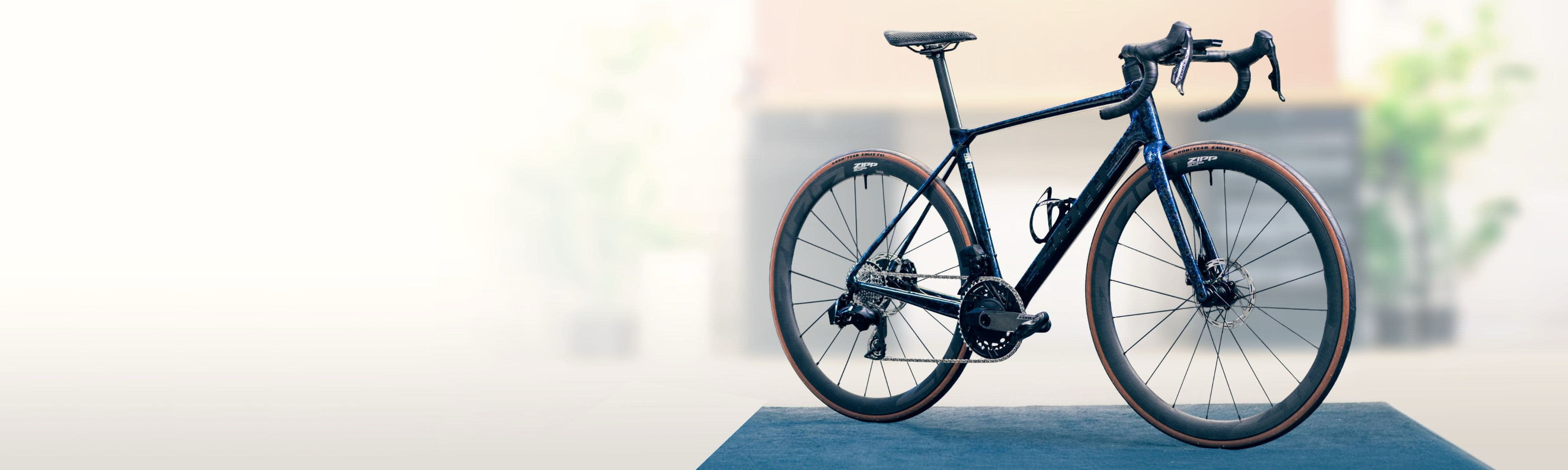 Giant Road Bike